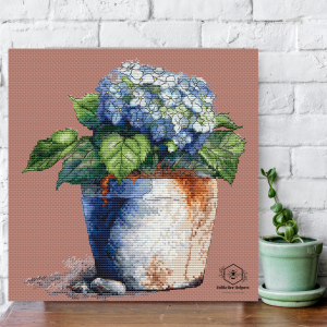 Гортензія в Провансі